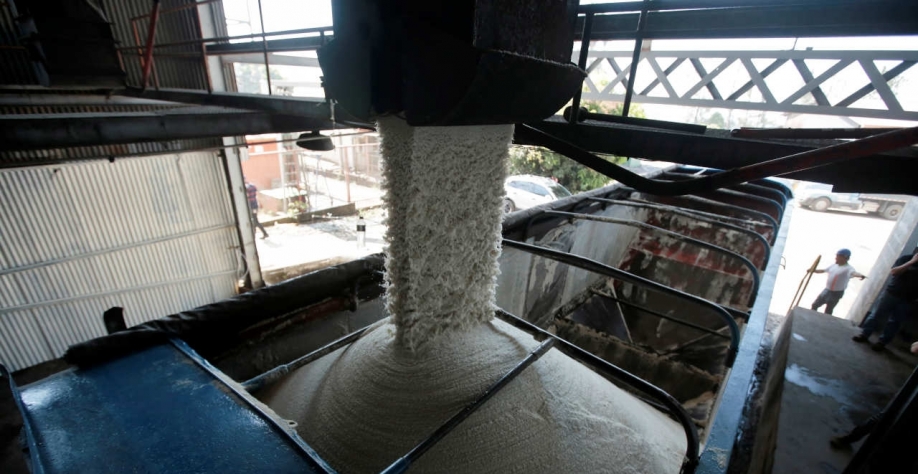 O Tiplam é responsável pela exportação de 25% de todo o açúcar brasileiro via Santos, o principal porto para a commodity no país (Imagem: REUTERS/Juan Carlos Ulate)