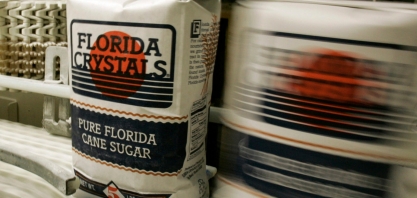 Estados Unidos caminham para produção recorde de açúcar