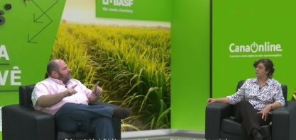 Entigris - o inseticida inovador da BASF para o manejo da cigarrinha-das-raízes em cana-de-açúcar