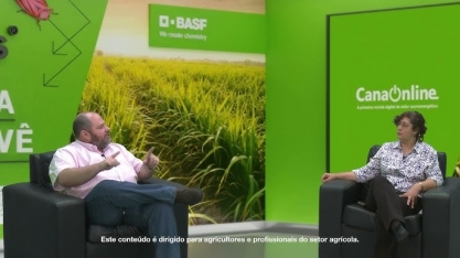 Entigris - o inseticida inovador da BASF para o manejo da cigarrinha-das-raízes em cana-de-açúcar