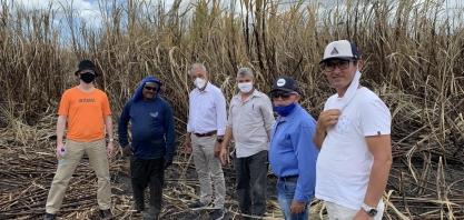 Trabalhadores do corte de cana na Paraíba recebem gratificação compensatória pelo preço do etanol