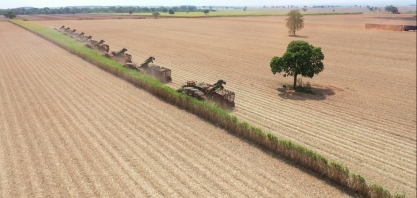 Unidade mineira da CRV Industrial encerra safra
