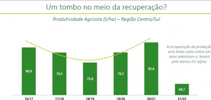 Média de produtividade dos canaviais da região Centro-Sul cai para 68,7 aponta Canaplan
