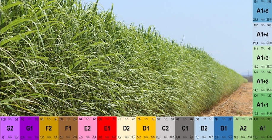 Segundo o pesquisador, os ambientes de produção são dinâmicos, podendo ser alterados em função do manejo adotado