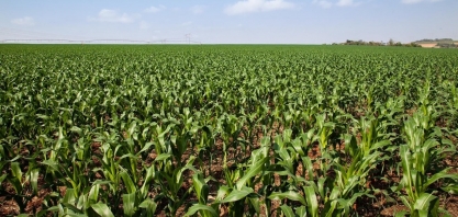 Biotecnologia Microgeo é tema de trabalhos publicados em revistas científicas internacionais