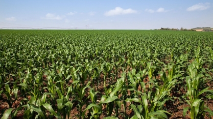 Biotecnologia Microgeo é tema de trabalhos publicados em revistas científicas internacionais