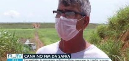 Representantes do agronegócio fazem balanço econômico da safra de cana-de-açucar