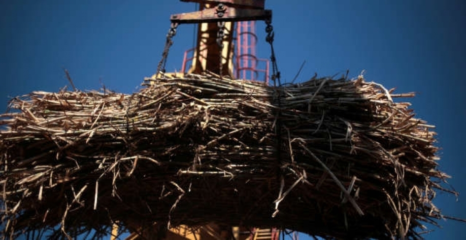 A Índia aprovou na quarta-feira uma proposta para atingir 20% de mistura de etanol com gasolina até 2025, cinco anos antes de sua meta anterior (Imagem: REUTERS/Juan Carlos Ulate)