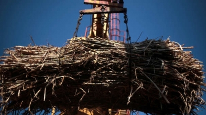 Plano da Índia para mistura de 20% de etanol cortará subsídio ao açúcar, diz governo