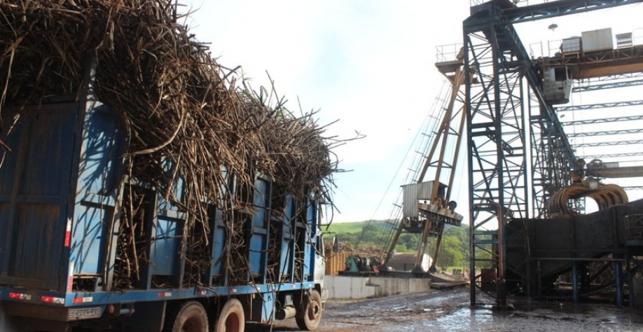 Quantidade de cana moída em comparação ao mesmo período da safra passada, que era de 6,1 milhões de toneladas, representa uma variação positiva de 13,1%. - Foto: Assessoria