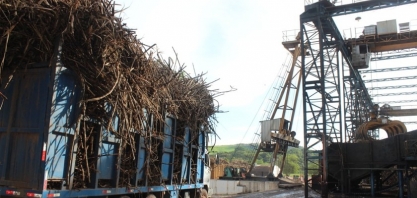 Sindaçúcar-AL: três meses de safra acumulam moagem de 6,9 mi de toneladas de cana