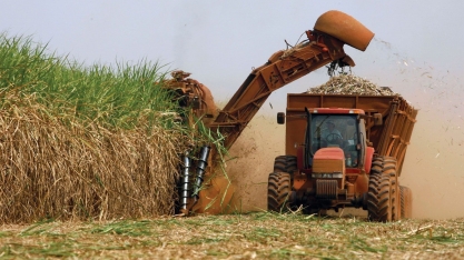 Açúcar: S&P Global Platts estima produção de 457,6 mil t na 1ª quinzena de novembro, queda de 63%