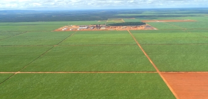 Irrigação por gotejamento eleva produtividade de áreas de sequeiro da Bevap de 70 TCH para 180 TCH