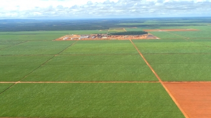 Irrigação por gotejamento eleva produtividade de áreas de sequeiro da Bevap de 70 TCH para 180 TCH