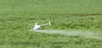Vantagens do uso de helicópteros no controle de plantas daninhas nos canaviais