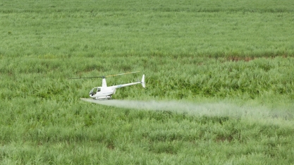 Vantagens do uso de helicópteros no controle de plantas daninhas nos canaviais