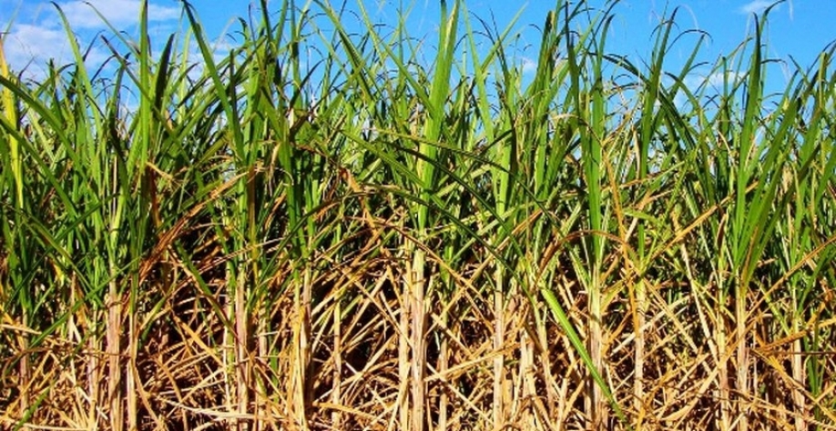 Imagem ilustrativa - Foto: Reprodução