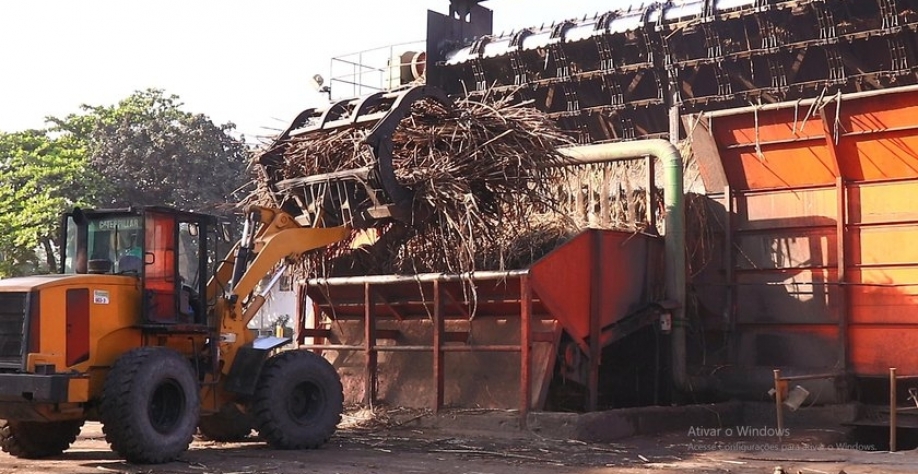 Safra 21/22 encerrou o mês de outubro com um crescimento de 15,4%. - Foto: Assessoria