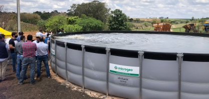 Produtor aposta em adubação biológica para melhorar qualidade dos cultivos e elevar a produtividade