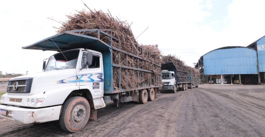 Em outubro, foi registrado um crescimento de 5,5%. - Foto: Assessoria