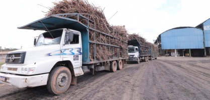 Açúcar Total Recuperável tem crescimento de 5,5% em outubro