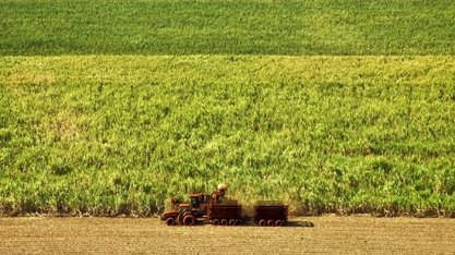 Moagem de cana atinge 517 milhões de toneladas no CS