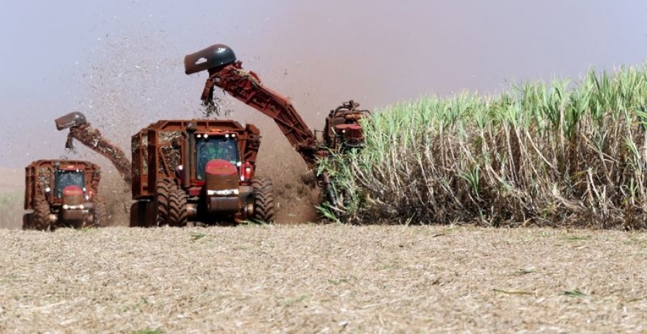 Colhedora de cana em Pradópolis