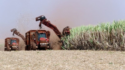 OIA reduz projeção de déficit global de açúcar para 2,55 mi t em 2021/22