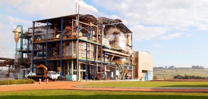 CRV Industrial encerra safra 2021