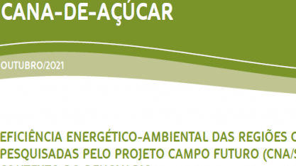 Eficiência energético-ambiental das regiões canavieiras pesquisadas pelo projeto Campo Futuro (CNA/SENAR) no contexto do Renovabio