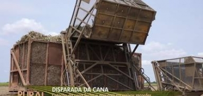 Safra de cana-de-açúcar tem recorde de cotação