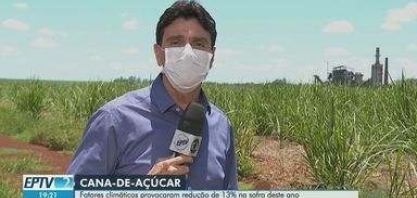 Fatores climáticos provocam redução de 13% na safra da cana em 2021