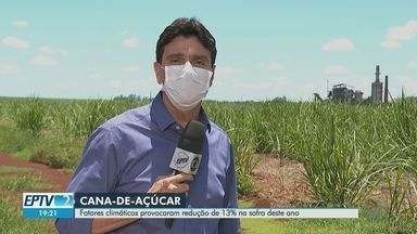 Fatores climáticos provocam redução de 13% na safra da cana em 2021