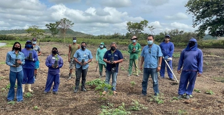 Até o momento quase 2 mil mudas foram entregues - Foto: Assessoria