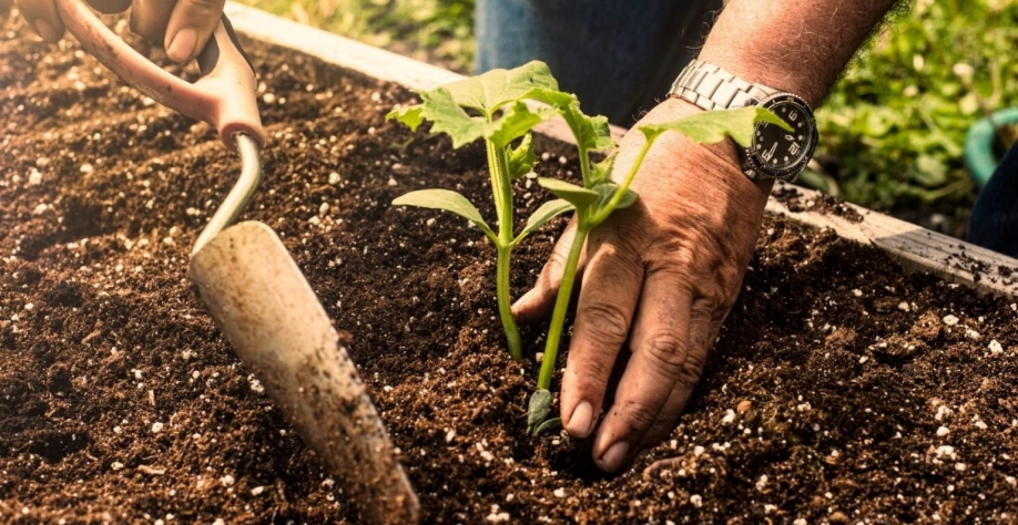 Decisões tomadas em Glasgow deverão afetar o nosso país e nosso agro. Sherry Galey/Getty