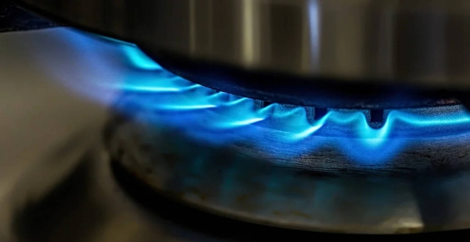 A companhia explica em comunicado que a Certificação GAS-REC, que realiza o sistema de rastreamento por meio de entradas e saídas, assegura que não existe dupla-contagem (nem duplo beneficiário) do atributo ambiental do biogás ou biometano (Imagem: Pixaba
