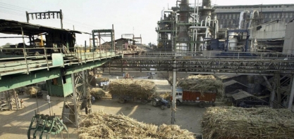 Índia será o 3º maior mercado de biocombustíveis