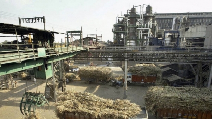 Índia será o 3º maior mercado de biocombustíveis