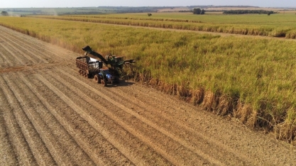 Ciclo da cana-de-açúcar: matéria- prima é 100% aproveitada no setor sucroenergético