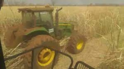 Colheita mecanizada de cana não mudou apenas o ambiente de produção, mas a vida de muitas pessoas