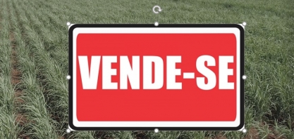 Compra de unidades sucroenergéticas volta a ser bom negócio com desempenho em alta do setor sucroenergético