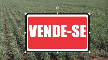 Compra de unidades sucroenergéticas volta a ser bom negócio com desempenho em alta do setor sucroenergético