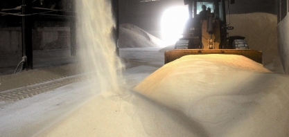 Indicadores do CEPEA apontam elevação no preço do açúcar no mercado spot em novembro em São Paulo e no Nordeste