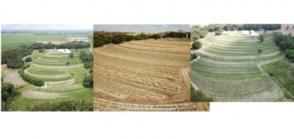 Menor oferta e maior demanda provocam fila de espera por muda de cana