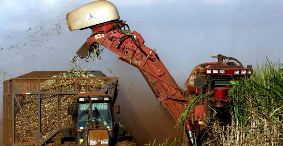 Operadores cooperados da sucroenergia nordestina avançam para a formação de uma grande central (Imagem: REUTERS/Paulo Whitaker)