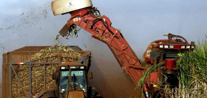 Nordeste pode terminar safra com a 1ª central cooperativista da cana unindo 4 usinas