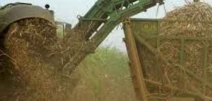 Colheita mecanizada de cana não mudou apenas o ambiente de produção, mas a vida de muitas pessoas