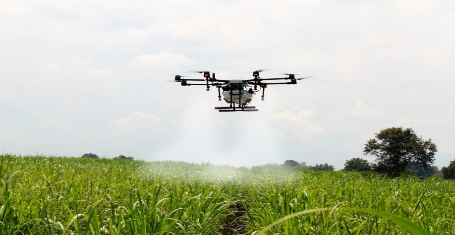 O preço dos fertilizantes dobrou de valor, segundo pesquisa da Confederação Nacional de Agricultura