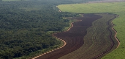 Broadcast live/Insper/Jank: hoje quase todas as grandes empresas estão caminhando para o esg