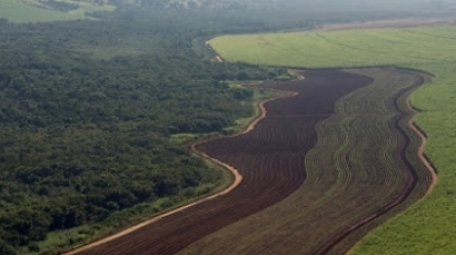 Broadcast live/Insper/Jank: hoje quase todas as grandes empresas estão caminhando para o esg